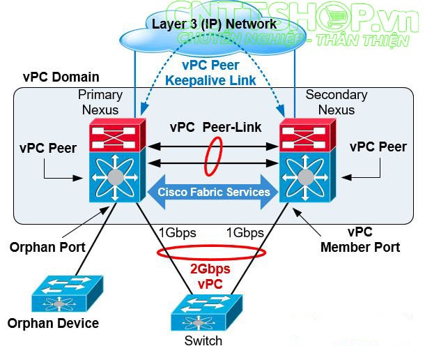 vPC là gì? Hướng dẫn cấu hình vPC trên Switch Cisco Nexus