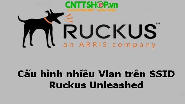 [RUCKUS] Hướng dẫn Cấu hình nhiều Vlan trên SSID (Ruckus Unleashed)