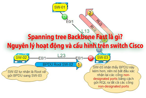STP Backbone Fast là gì? Nguyên lý hoạt động và cách cấu hình trên switch Cisco