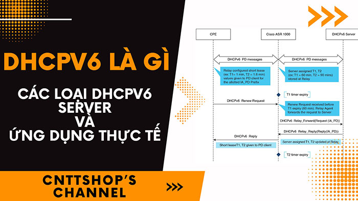 DHCPv6 là gì? Các loại DHCPv6 và ứng dụng trong thực tế DHCPv6 là gì? Các loại DHCPv6 và ứng dụng trong thực tế