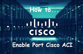 Hướng dẫn Enable nhiều cổng Cisco ACI, No shutdown port Cisco APIC
