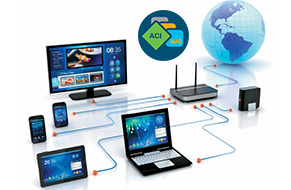 Hiển thị endpoint của địa chỉ MAC với Cisco ACI, show endpoint Cisco APIC