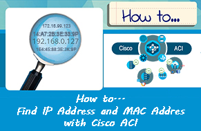 Tìm IP và MAC của 1 port với Cisco ACI, check IP and MAC Cisco APIC Tìm IP và MAC của 1 port với Cisco ACI, check IP and MAC Cisco APIC