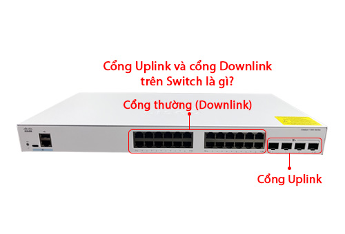 Cổng Uplink và Downlink trên Switch là gì? Hiểu đúng về cổng Uplink Port và Downlink Port