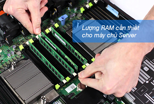 Lượng RAM cần thiết cho máy chủ, cách chọn và tối ưu hóa việc sử dụng RAM