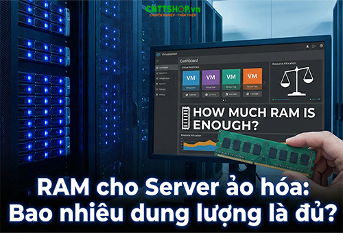 RAM cho Server ảo hóa: Bao nhiêu dung lượng là đủ?
