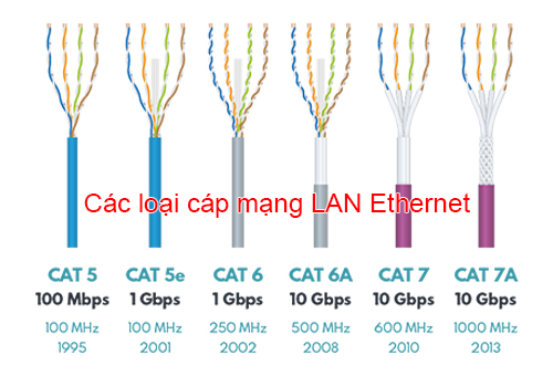Lịch sử các loại cáp Ethernet LAN và hạt mạng RJ45