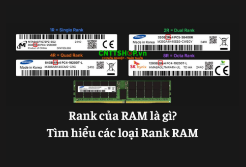 Rank RAM là gì? Tìm hiểu về 1Rx2, 1Rx4, 1Rx8, 2Rx2, 2Rx4, 2Rx8 trên RAM
