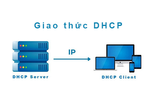 DHCP là gì? Vai trò chưa từng có của DHCP trong hệ thống mạng