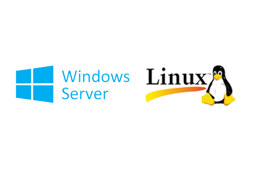 So sánh hệ điều hành máy chủ, Windows Server và Linux Server