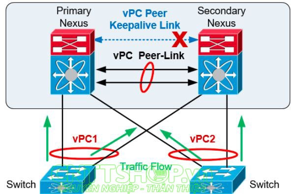 vPC Peer Keepalive lỗi