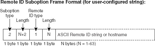 The filling format of the non-default content of Remote ID