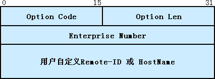 The non-default content filling format of Remote ID 