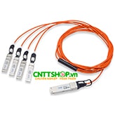 E100G-QSFP-4SFP-P-0501 Ruckus 4x25GE Direct Attached QSFP28 to 4 SFP28 PASSIVE Copper Breakout Cable E100G-QSFP-4SFP-P-0501 Ruckus 4x25GE Direct Attached QSFP28 to 4 SFP28 PASSIVE Copper Breakout Cable