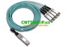 Cable Module quang QSFP-4x10G-AOC10M AOC 40G QSFP+ to 4x10G SFP+ AOC 10M sử dụng cho NSS6600-10