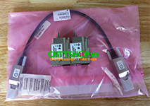 C9200L-STACK-KIT Cisco Catalyst 9200L StackWise-80 Module