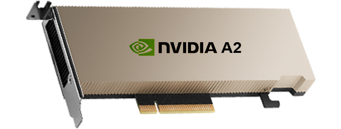 Card đồ họa máy chủ GPU NVIDIA A2