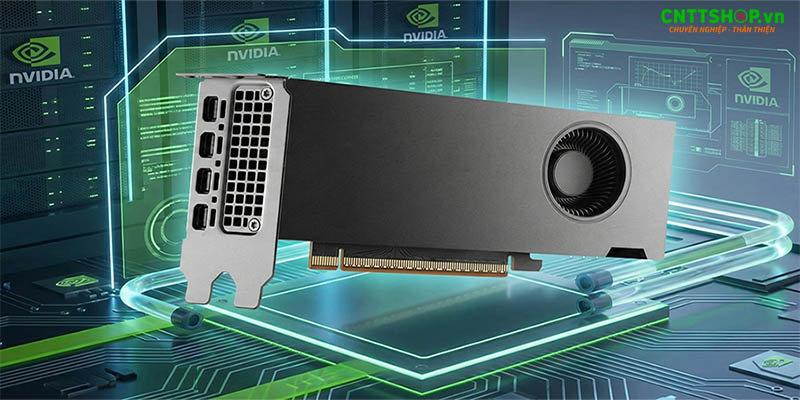 RTX PRO 2000 Blackwell