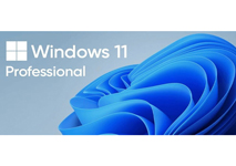 License Microsoft Windows Pro 11 64Bit Eng Intl 1pk DSP OEI DVD FQC-10528