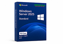 Microsoft Windows Server 2025 Standard 64-bit English DVD DSP OEI 16 Core - P73-08749 