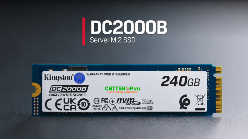 Ổ cứng SSD Kingston SEDC2000BYM/240G cho máy chủ