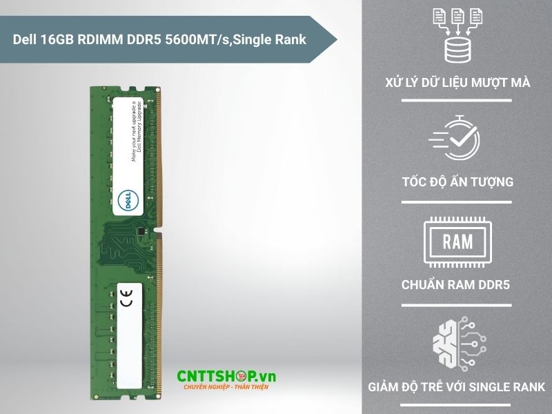 Tổng quan về RAM Server Dell SNP5DR48C-16G