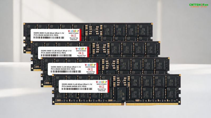 RAM Server V-color 64G TR564G56S446