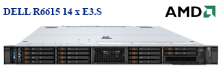 Dell PowerEdge R6615 14xE3.S (AMD EPYC 9224/ 32GB RAM/ 9.6TB NVMe Gen5)