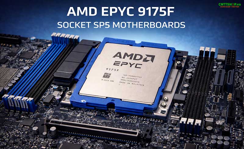 mainboard amd epyc 9175F