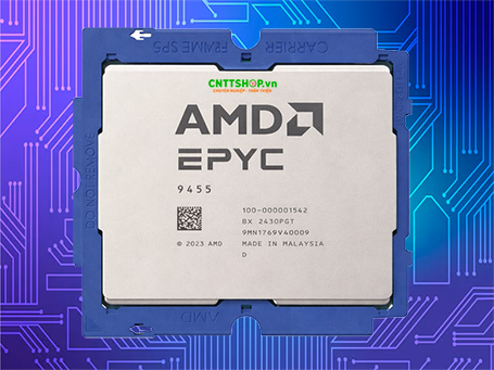 CPU AMD EPYC 9455 48C/96T, max 4.4 GHz, 256MB cache, DDR5-6400,320W