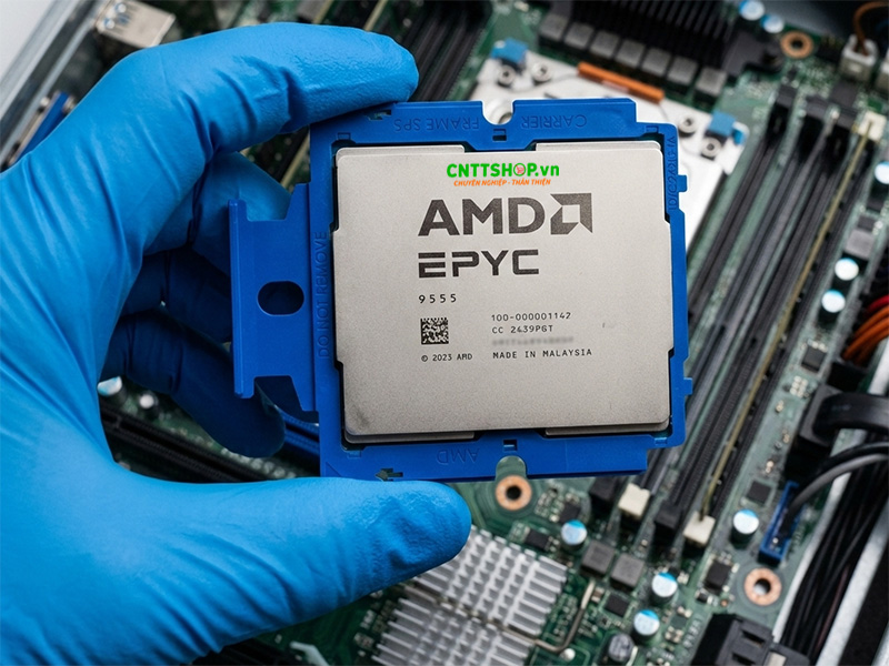 ảnh amd epyc 9555p