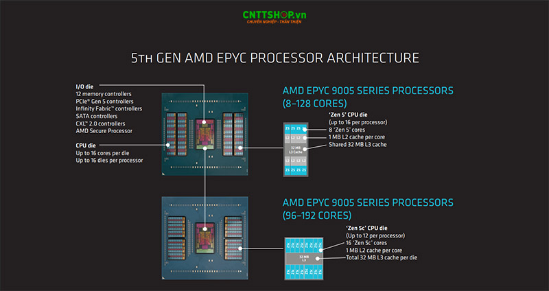 kiến trúc zen 5c 9645