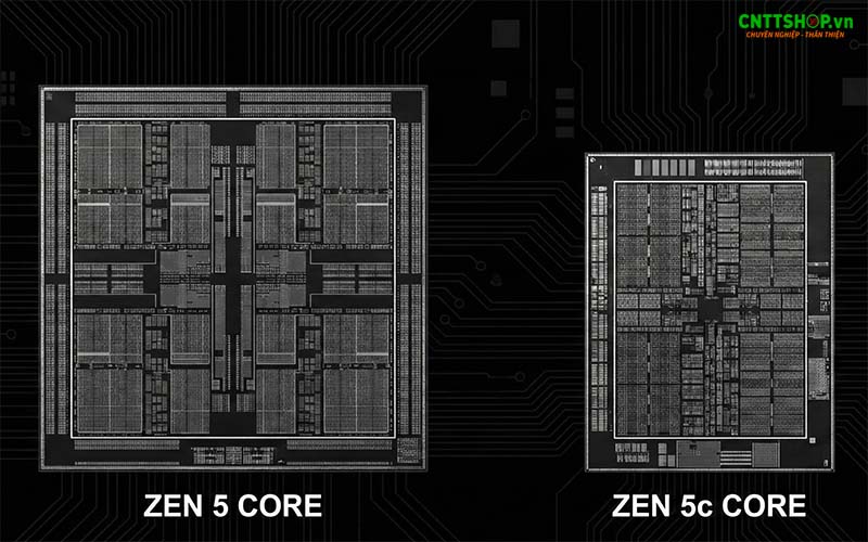 zen 5 và zen 5c