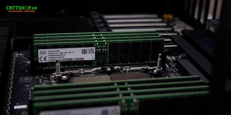 Intel Xeon W5-3425 hỗ trợ RAM DDR5 4800MT/s tối đa 4TB