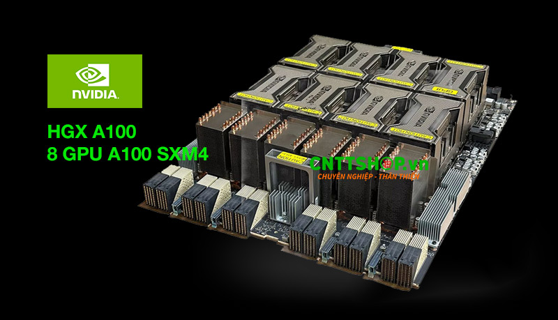 NVIDIA HGX 8 GPU A100 SXM4 640GB - Hiệu Suất Vượt TrộiVà Phân Tích Dữ liệu
