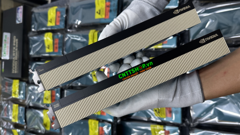 So sánh RTX PRO 6000D và RTX PRO 6000 