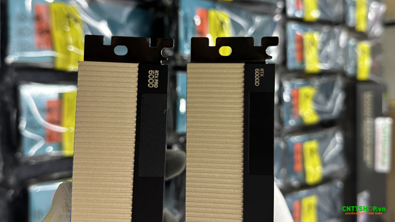 RTX PRO 6000D và RTX PRO 6000 Balckwell khác gì nhau