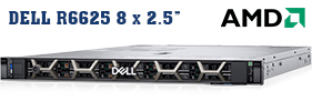 Dell EMC PowerEdge R6625 - 8 x 2.5 INCH