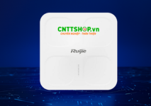 Ruijie RG-AP680P-L Wifi 6 Ngoài Trời 5.951Gbps, 2 Băng Tần