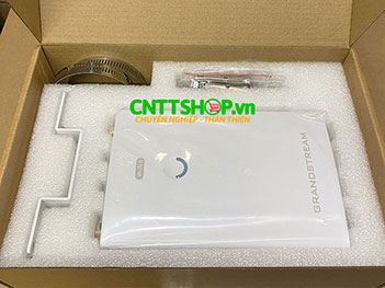 Grandstream GWN7660LR Outdoor Long-Range Wi-Fi 6 Access Point