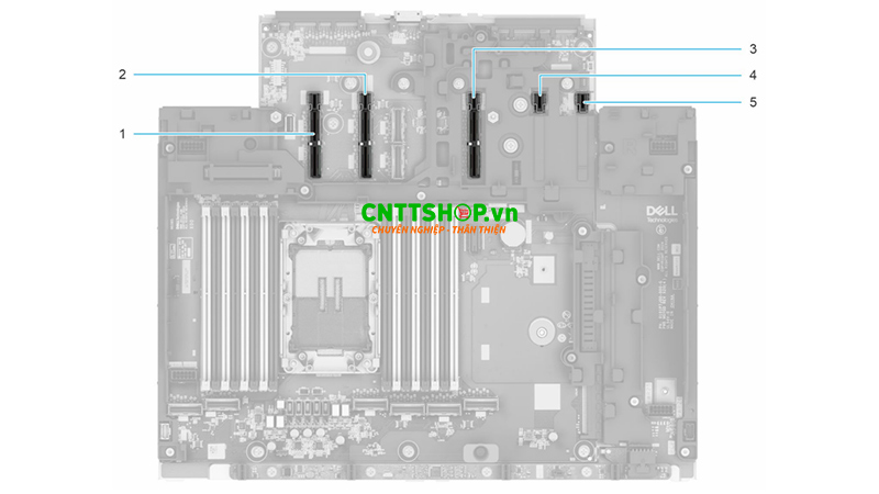 Khe PCIe Riser trên Dell PowerEdge R470
