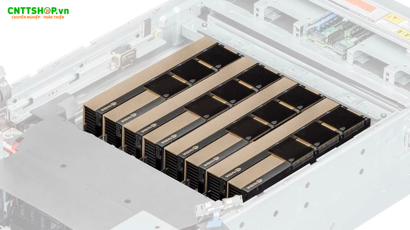 Máy chủ hỗ trợ các GPU mạnh mẽ nhất như NVIDIA H200 NVL