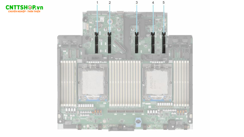 Máy chủ Dell PowerEdge R7725xd có tới 5 slot PCIe Gen5