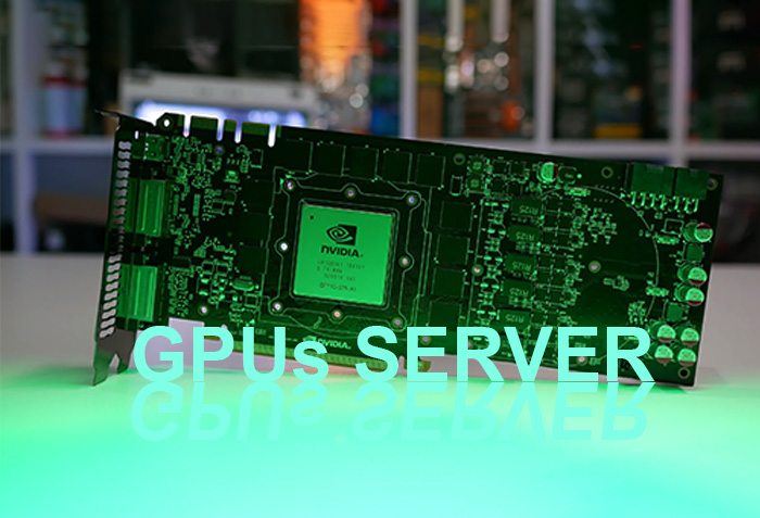 Card GPU Server Máy Chủ
