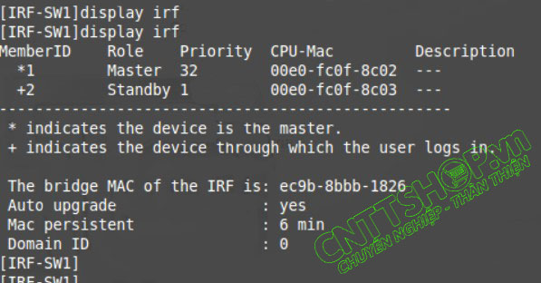 sử dụng lệnh display irf trên sw1 để kiểm tra