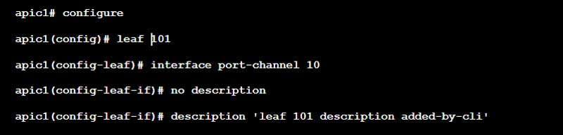 Change description Port Channel with Cisco ACI command CLI