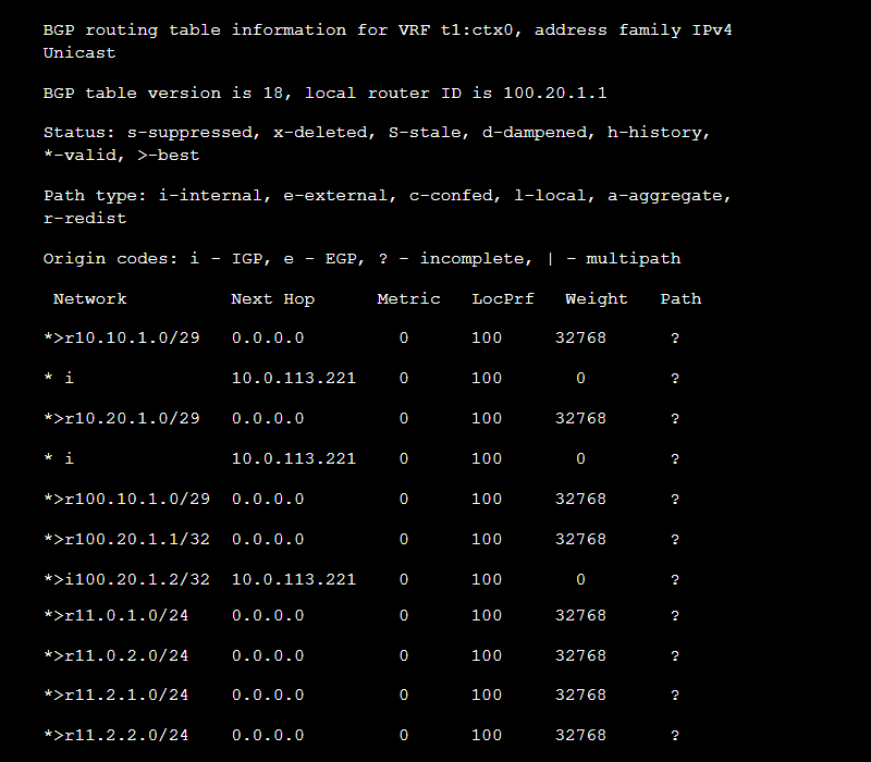 Status bgp with cli Cisco ACI