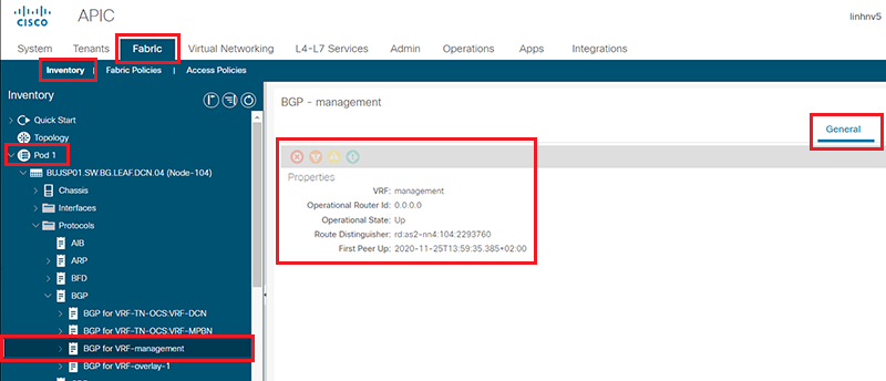 check status protocol BGP with Cisco ACI