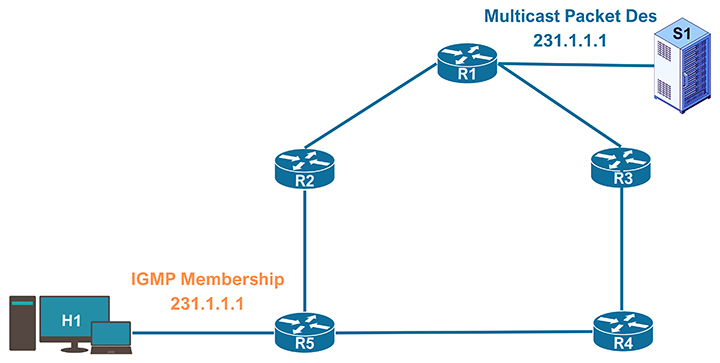 Multicast PIM Sparse Mode hoạt động như thế nào