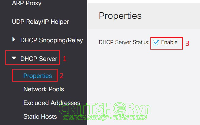 enable dhcp server cisco cbs350